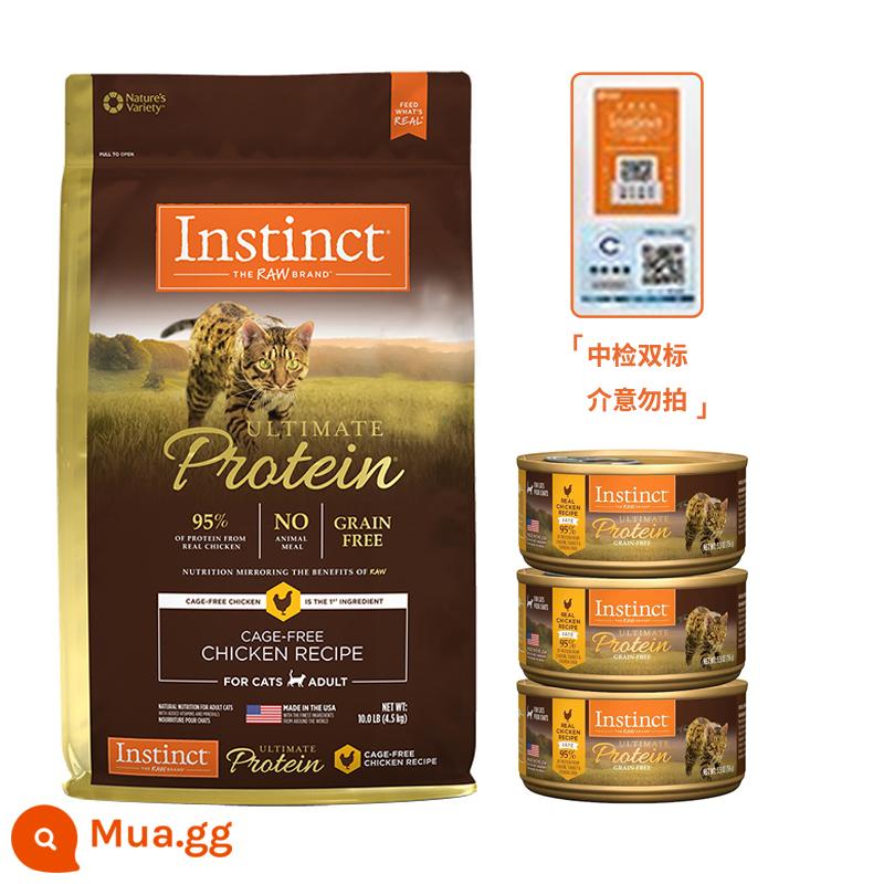 Thức ăn cho mèo Instinct Bailey Thịt gà đông khô tươi không hạt cổ điển Thức ăn cho mèo hoàn chỉnh giàu protein chất lượng cao dành cho mèo con - Gà giàu protein 10 pound [tiêu chuẩn kép] miễn phí 3 lon Baileys