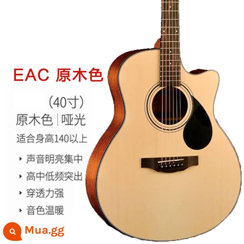 kepma nghiệp d1c dân gian đàn guitar a1c người mới bắt đầu bé trai đàn guitar acoustic chính hãng EDC nghiệp pháo ES36 - Phiên bản nâng cấp của túi đựng đàn 40 inch + màu gỗ EAC mờ và các phụ kiện khác làm quà tặng sang trọng