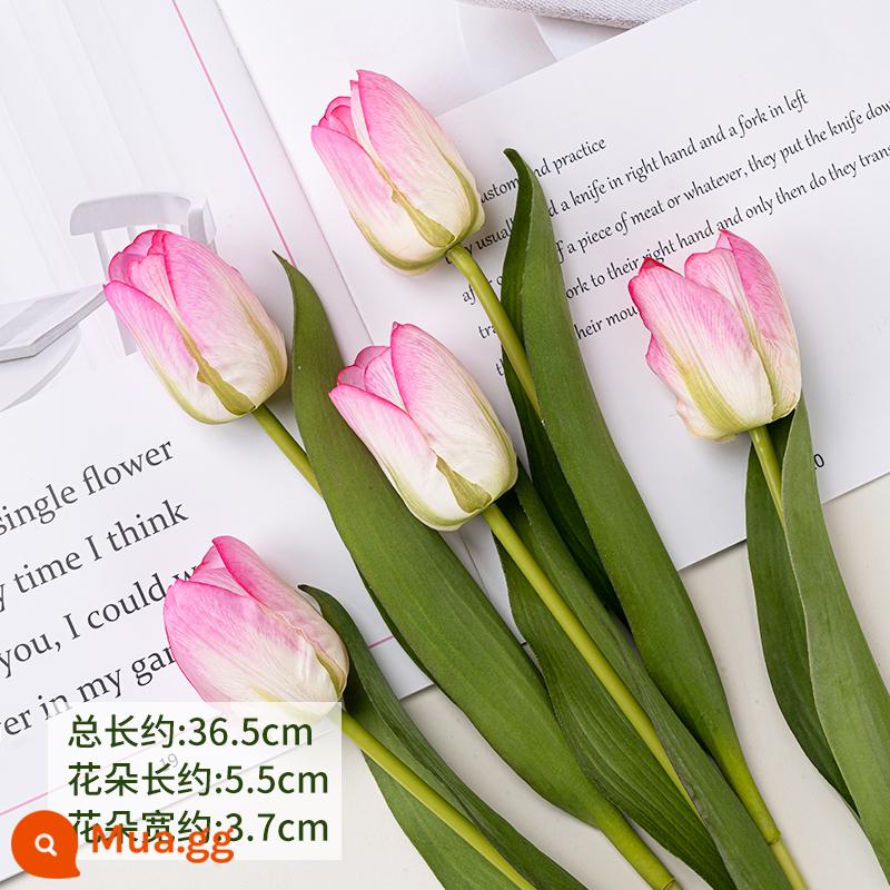 Lưới đỏ mô phỏng hoa tulip Trang trí bánh ngày lễ tình nhân chỉ có nữ thần sắc đẹp trang trí bánh cổ tích nhỏ - Hoa tulip mô phỏng, màu hồng và xanh lá cây, 5 miếng, siêu thực