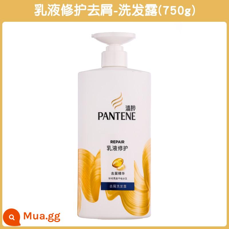 Đặc biệt Clearance Pantene Lotion Repair Dầu Gội Kiểm Soát Dầu Lông Tơ Cải Thiện Dầu Gội Dầu Gội Mượt Mượt - Dầu gội phục hồi và trị gàu [750g]