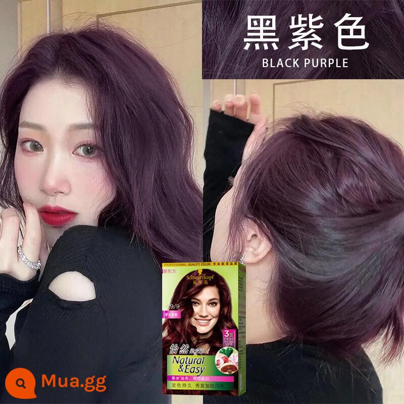 Màu Đen Tím Schwarzkopf Thuốc Nhuộm Tóc Vật Có Nho Tự Nhiên Nho Đen Tím Nguyên Chất Nhà Thuốc Nhuộm Tóc Xác Thực - Roland Deep Purple (Tím đen số 2) có thể che được tóc trắng