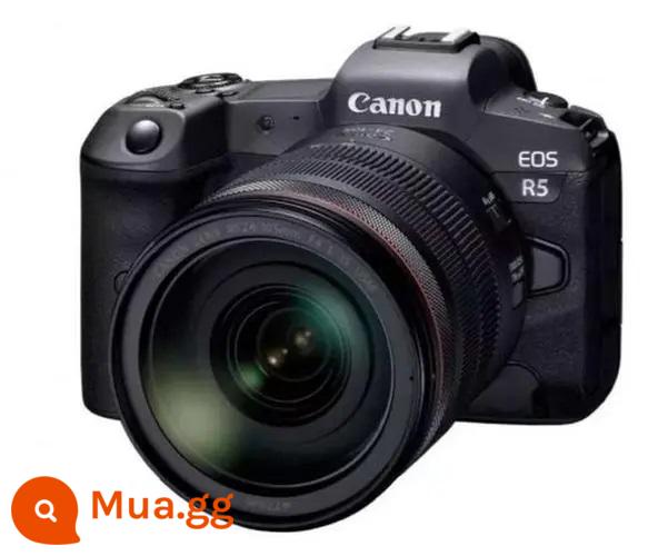 Cho thuê máy ảnh một mắt siêu nhỏ Canon R7R8R10R5CR65D4/36D280D90D thuê miễn phí đặt cọc - tiền gửi EOSR5