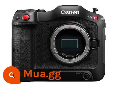 Cho thuê máy ảnh một mắt siêu nhỏ Canon R7R8R10R5CR65D4/36D280D90D thuê miễn phí đặt cọc - tiền gửi C70