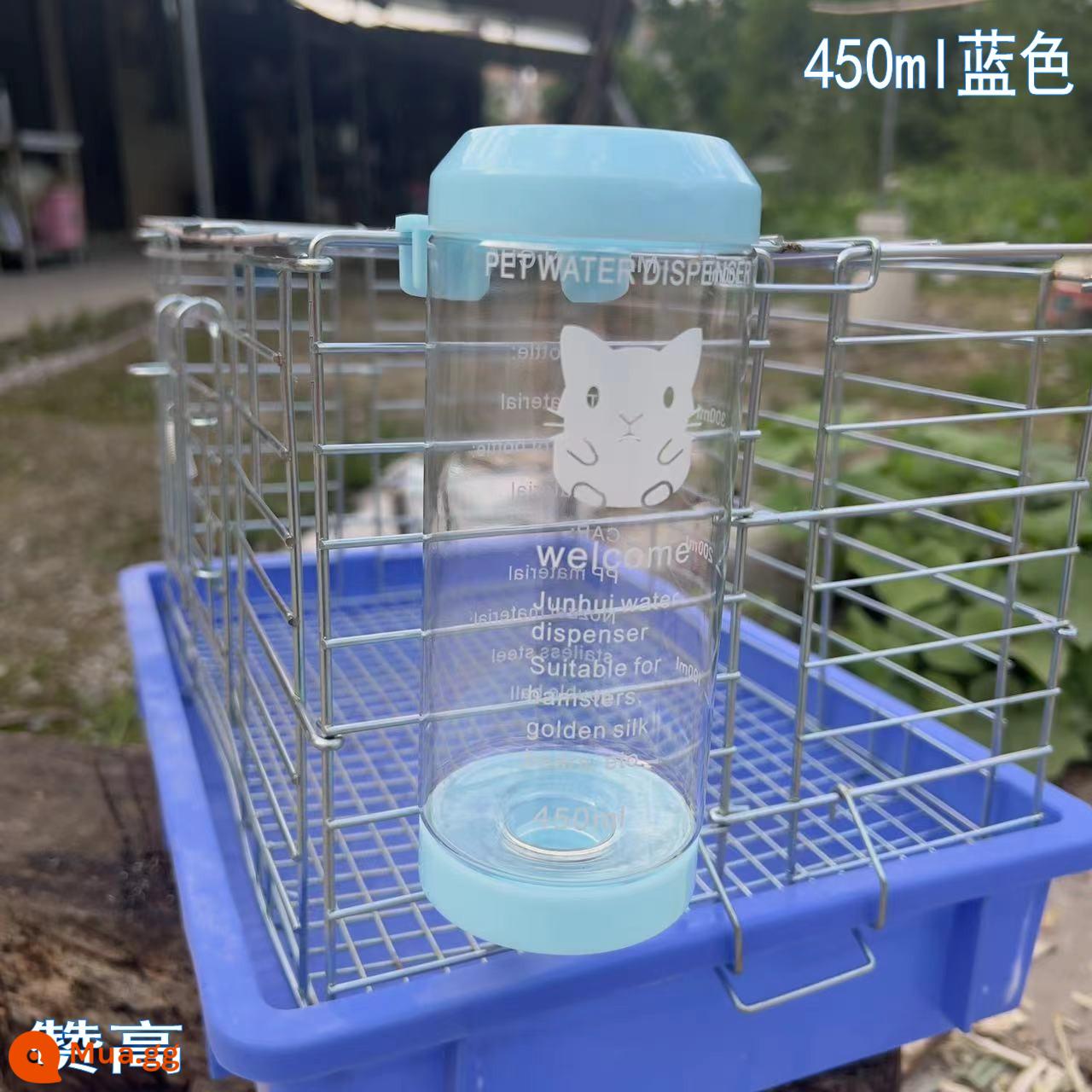 Hamster Uống Ấm Siêu Tốc Nhím Chinchilla Bóng Uống Chuột Lang Chuột Lang Thỏ Tiếp Liệu Gấu Vàng Cho Ăn Nước Dọc - Ấm bi thép 450ml (xanh)