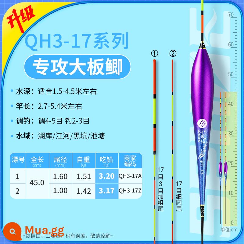 Phao câu cá hoang dã độ nhạy cao Xiaofengxian QH táo bạo và bắt mắt nước nông cá diếc cá chép cá chép bạc bộ phao đầy đủ - Chuyên cá diếc/chì≈3,2g [2 đuôi tùy chọn] số 17