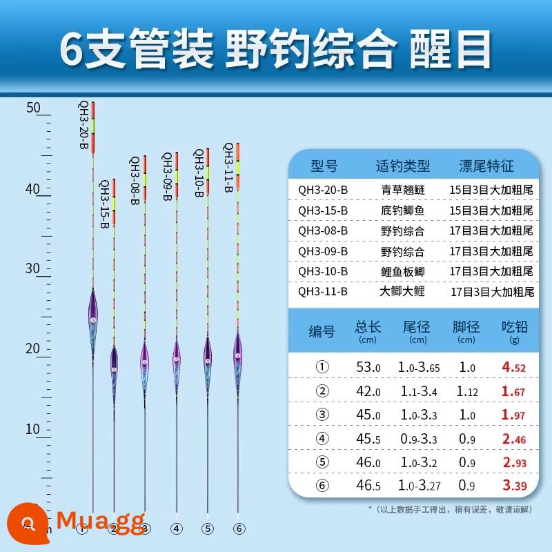 Phao câu cá hoang dã độ nhạy cao Xiaofengxian QH táo bạo và bắt mắt nước nông cá diếc cá chép cá chép bạc bộ phao đầy đủ - Bộ 6 múi (câu cá hoang dã toàn diện) bắt mắt