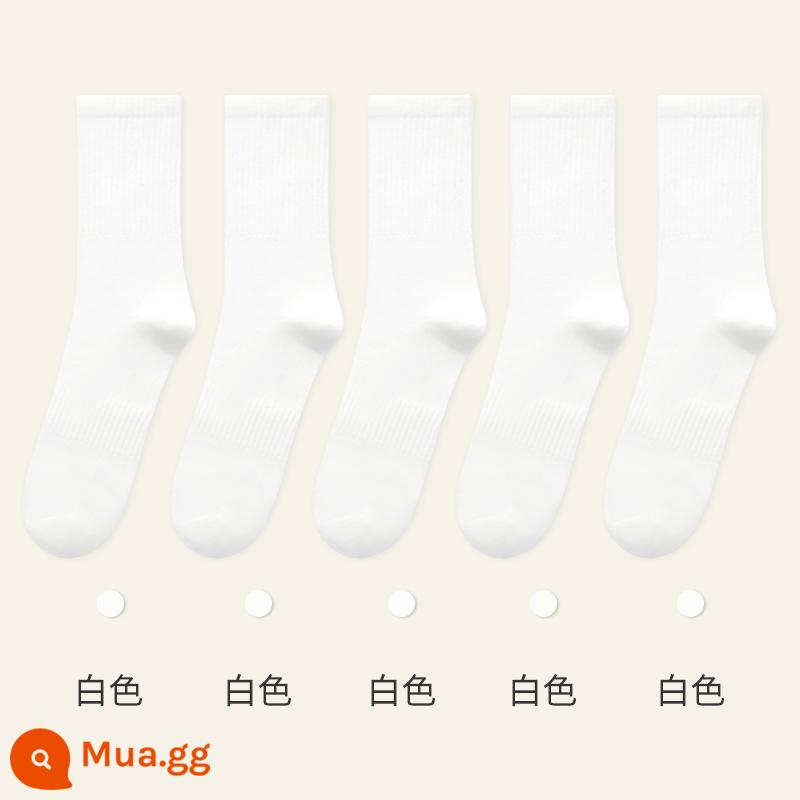 Vớ đen Langsha dành cho nữ mùa xuân và mùa thu cotton nguyên chất vớ cotton ống giữa dày cho giày da vớ bông khử mùi dành cho nữ mùa thu đông - Ống dài màu trơn: Trắng 5 (tổng cộng 5 đôi)