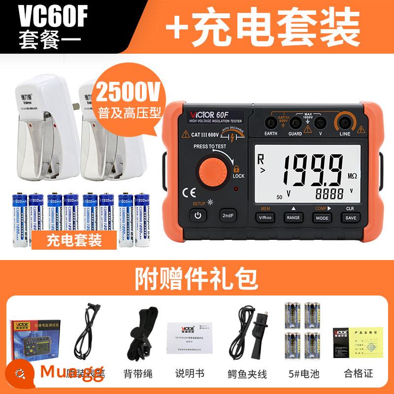 Máy kiểm tra điện trở cách điện Victory VC60B+ Digital Megger 500v1000 Máy phát hiện thông minh Thợ điện Shaker - VC60F đạt tiêu chuẩn bộ sạc số 5 (2 sạc 8 sạc)