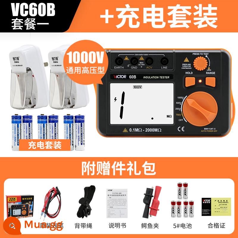 Máy kiểm tra điện trở cách điện Victory VC60B+ Digital Megger 500v1000 Máy phát hiện thông minh Thợ điện Shaker - VC60B đạt tiêu chuẩn kèm hộp sạc (2 chiếc sạc được 6 pin)