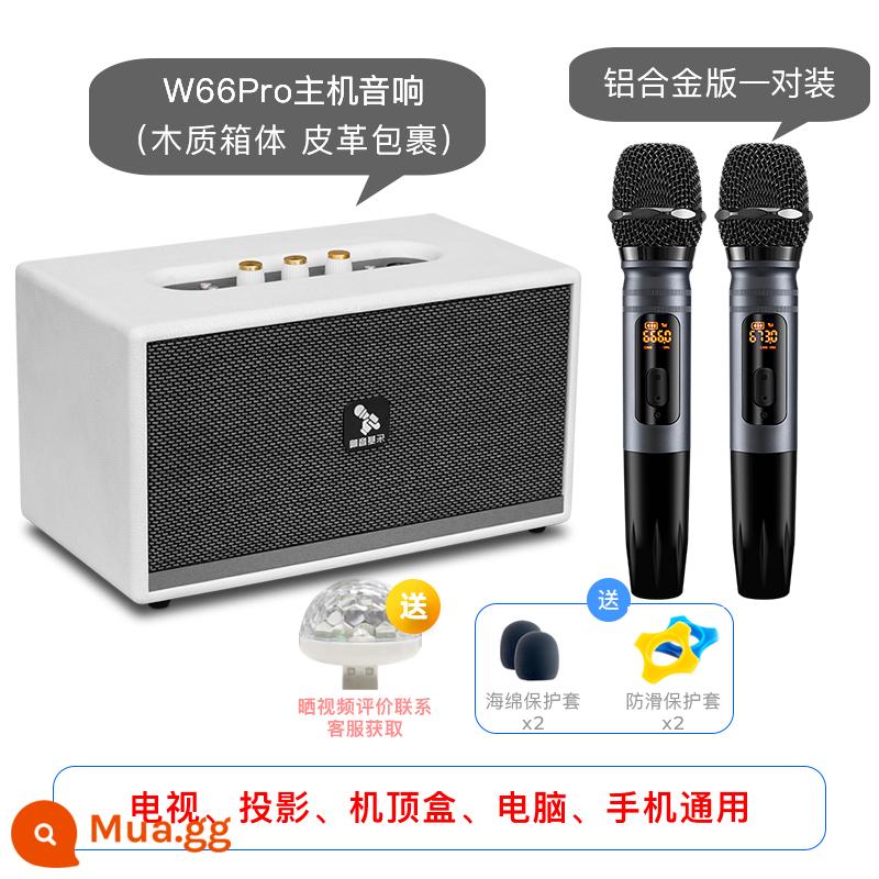 Leji W66 Family KTV Đặt - Micro hợp kim nhôm màu xám W66Pro+ (cặp)