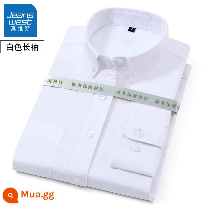 Mùa xuân và mùa thu nam dài tay cotton Oxford áo sơ mi trắng công sở bình thường đáy sọc xanh áo sơ mi áo khoác inch - 1 chiếc 59 [tay dài màu trắng] cotton nguyên chất