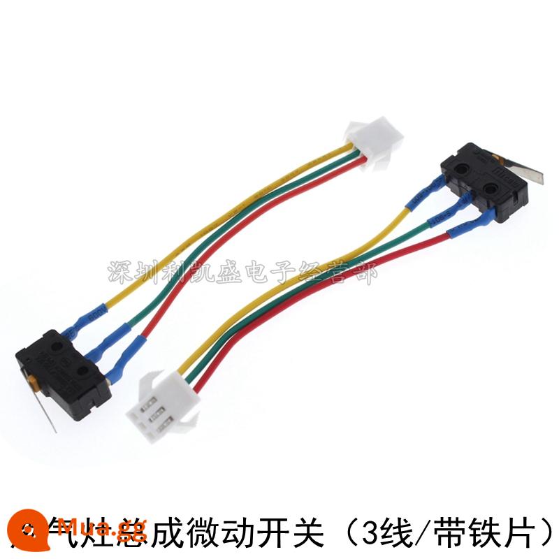 Khí Nước Micro Switch Cảm Biến Lưu Lượng Nước Công Tắc Nước Bếp Gas Âm Đa Năng Máy Bay Cắm Máy Nước Nóng Phụ Kiện - Công tắc micro (3 feet/có tấm sắt)