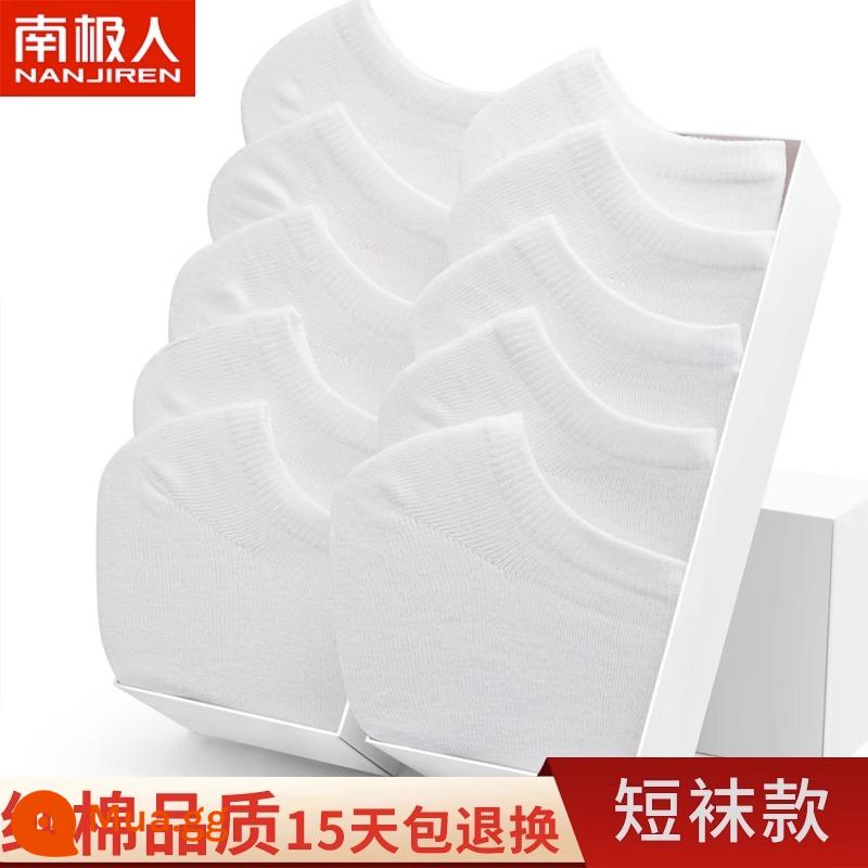 Tất Nam Cực Đến Giữa Bắp Chân Nam Phong Cách Mùa Xuân Cotton Nguyên Chất Thấm Hút Mồ Hôi Thoáng Khí Mỏng Màu Đen Công Sở Tất Dài Và Ngắn Mùa Hè - Tất - Trắng *10 [Thêm 10 đôi cùng kiểu] tổng cộng 20 đôi