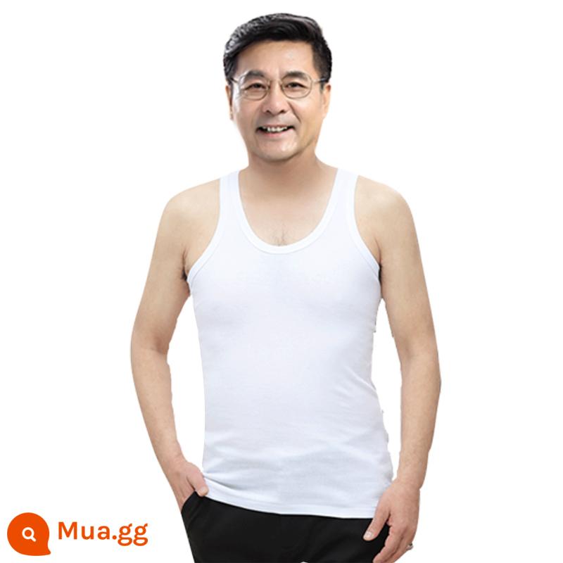 Bông đàn ông nam Vest nam Cotton Cotton Pure vào mùa hè làm tăng áo sơ mi mồ hôi lớn tuổi của người già và mặc áo sơ mi già tầng hầm - trắng một gói