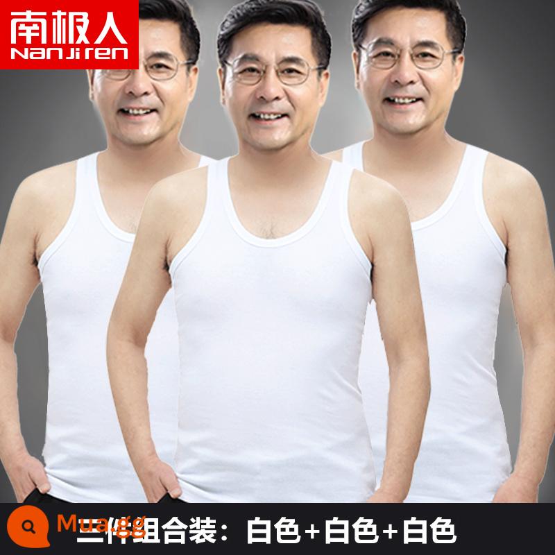 Bông đàn ông nam Vest nam Cotton Cotton Pure vào mùa hè làm tăng áo sơ mi mồ hôi lớn tuổi của người già và mặc áo sơ mi già tầng hầm - Bộ ba món (trắng + trắng + trắng)