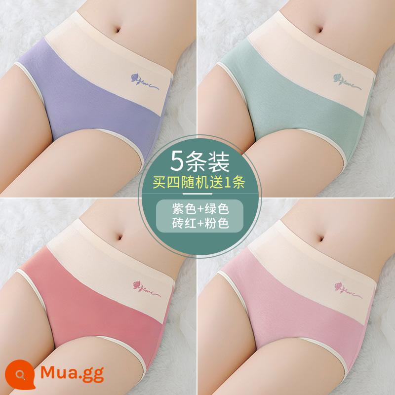 Quần Lót Nữ Nữ Cotton Nguyên Chất Liền Mạch Cotton Thoáng Khí Đáy Quần Kháng Khuẩn Quần Lót Nữ Giữa Eo Mới 2023 Thời Trang Phổ Biến - Nhóm D - tím + xanh + đỏ gạch + hồng + tặng 1 mảnh cùng kiểu (5 miếng)