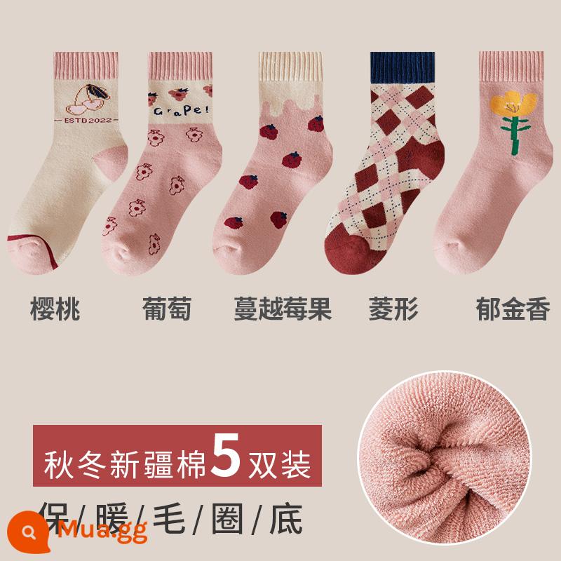 Vớ nữ thu đông giam dày ấm ống dài khăn giữa ống tầng vớ cotton giấc ngủ Nhật Bản Plus nhung mùa đông - [5 Đôi Dâu Hồng 5 Đôi] Tất Terry