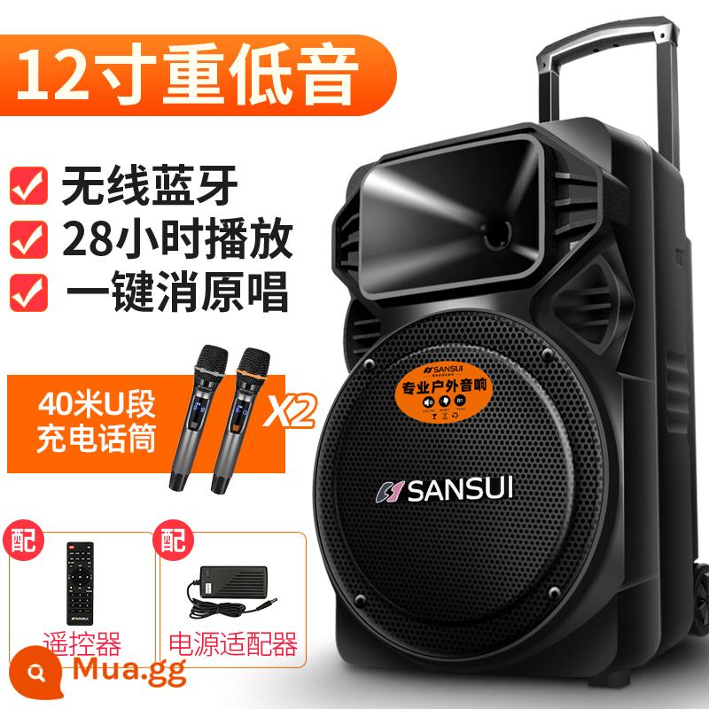 Shanshui A12-66 Vuông Vũ Âm Thanh Loa Ngoài Trời Karaoke Di Động Cần Kéo Có Micro Không Dây Ktv Di Động - Loa siêu trầm 12 inch [28 giờ] + micrô kép