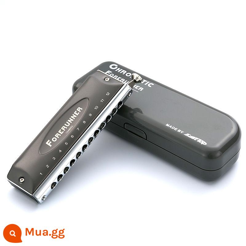 Dongfang Ding EASTTOP tiền thân Harmonica chromatic 12 lỗ không màng C phím người mới chơi dành cho người lớn mới bắt đầu nhập cảnh - Thang âm 12 lỗ Pioneer + Không có quà tặng