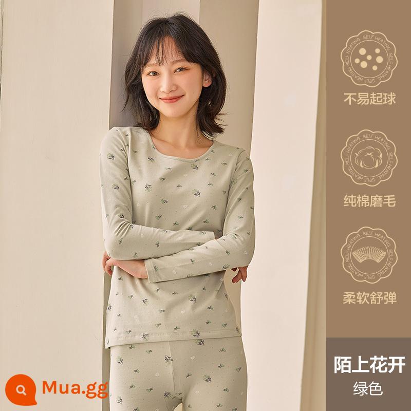 Hengyuanxiang quần áo mùa thu vệ sinh quần nữ cotton nguyên chất phù hợp với sưởi ấm quần áo cô gái học sinh đáy áo len cotton mỏng phần mùa đông - Hoa nở ven đường (màu xanh)