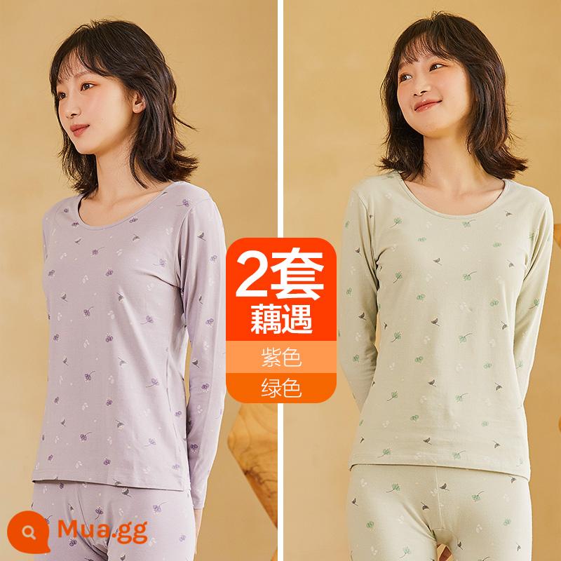 Hengyuanxiang quần áo mùa thu vệ sinh quần nữ cotton nguyên chất phù hợp với sưởi ấm quần áo cô gái học sinh đáy áo len cotton mỏng phần mùa đông - Củ sen gặp (tím + xanh)