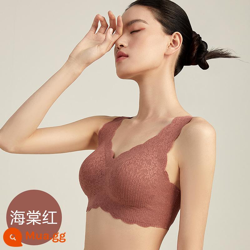 Đồ lót ren Hengyuanxiang của phụ nữ ngực nhỏ tập hợp không có vòng thép đẹp kiểu vest áo ngực hỗ trợ áo ngực liền mạch gợi cảm mùa hè - Thu hải đường đỏ