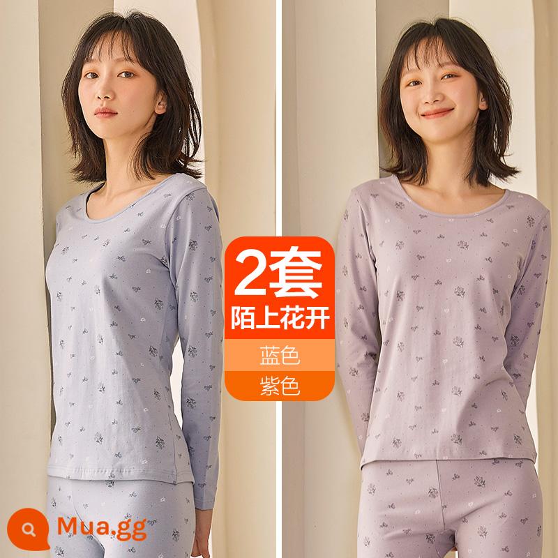 Hengyuanxiang quần áo mùa thu vệ sinh quần nữ cotton nguyên chất phù hợp với sưởi ấm quần áo cô gái học sinh đáy áo len cotton mỏng phần mùa đông - Hoa nở trên Moshang (xanh + tím)