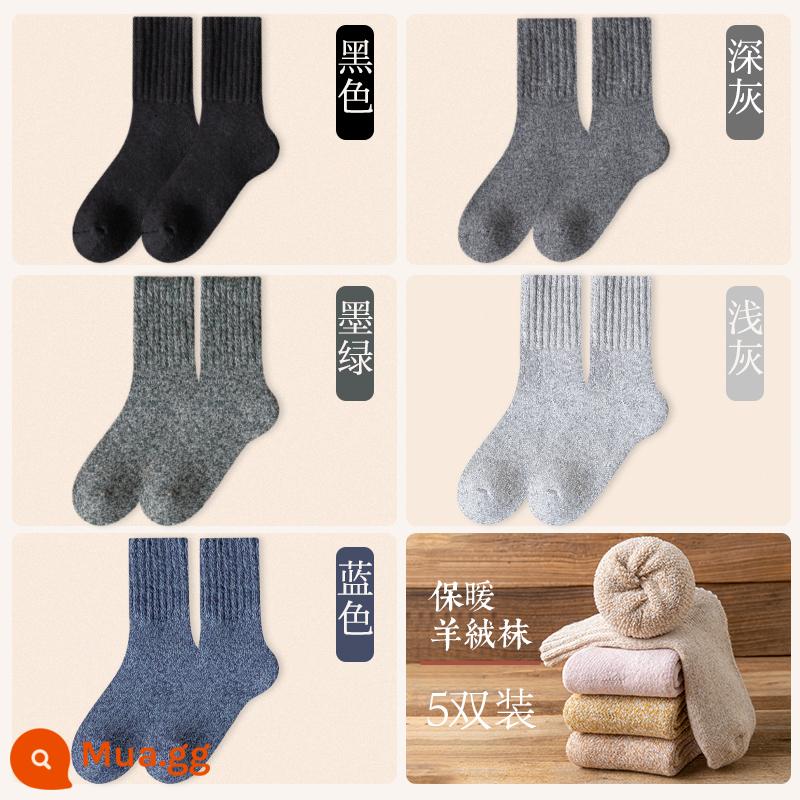 Vớ len nữ mùa đông Plus nhung dày giữa ống tất mùa thu đông ấm sàn cashmere ngủ giam tất sau sinh - 5 đôi [Bộ giữ nhiệt cashmere 3260] 1 màu đen 1 màu xám đậm 1 màu xanh đậm 1 màu xám nhạt 1 màu xanh lam