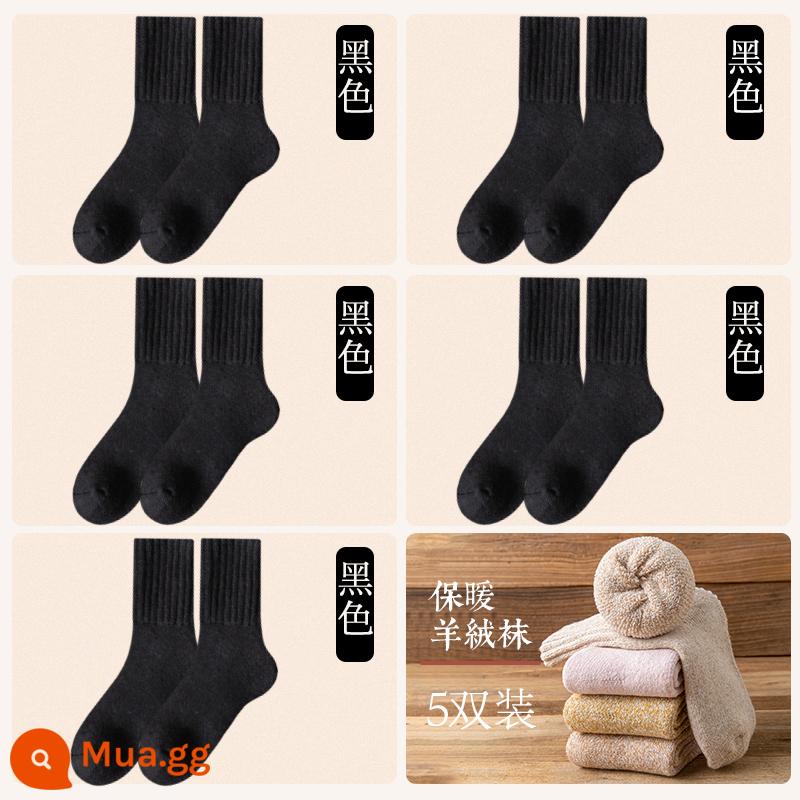 Vớ len nữ mùa đông Plus nhung dày giữa ống tất mùa thu đông ấm sàn cashmere ngủ giam tất sau sinh - 5 đôi [lưu trữ nhiệt cashmere 3260] 5 màu đen