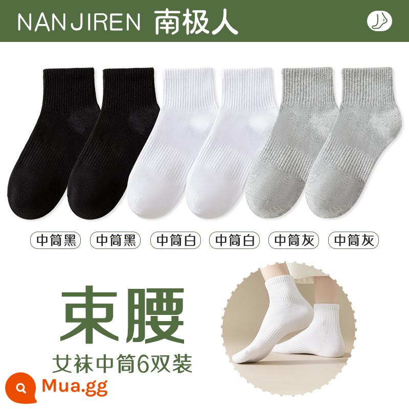 Tất nữ Tất dài đến bắp chân nữ mùa xuân thu đông Tất cotton nguyên chất không xương Tất thể thao mùa hè Tất ngắn nữ màu trắng nam - [Ống giữa] 2 đen + 2 trắng + 2 xám