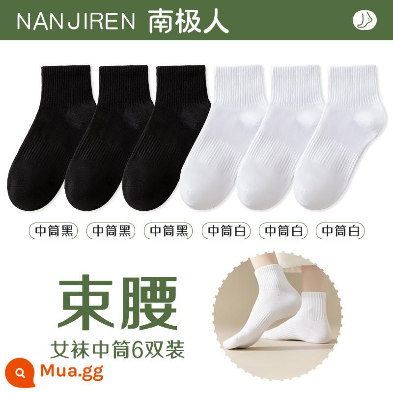 Tất nữ Tất dài đến bắp chân nữ mùa xuân thu đông Tất cotton nguyên chất không xương Tất thể thao mùa hè Tất ngắn nữ màu trắng nam - [Ống giữa] 3 đen + 3 trắng