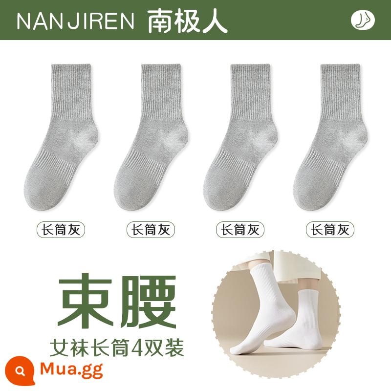 Tất nữ Tất dài đến bắp chân nữ mùa xuân thu đông Tất cotton nguyên chất không xương Tất thể thao mùa hè Tất ngắn nữ màu trắng nam - [Ống dài] 4 màu xám