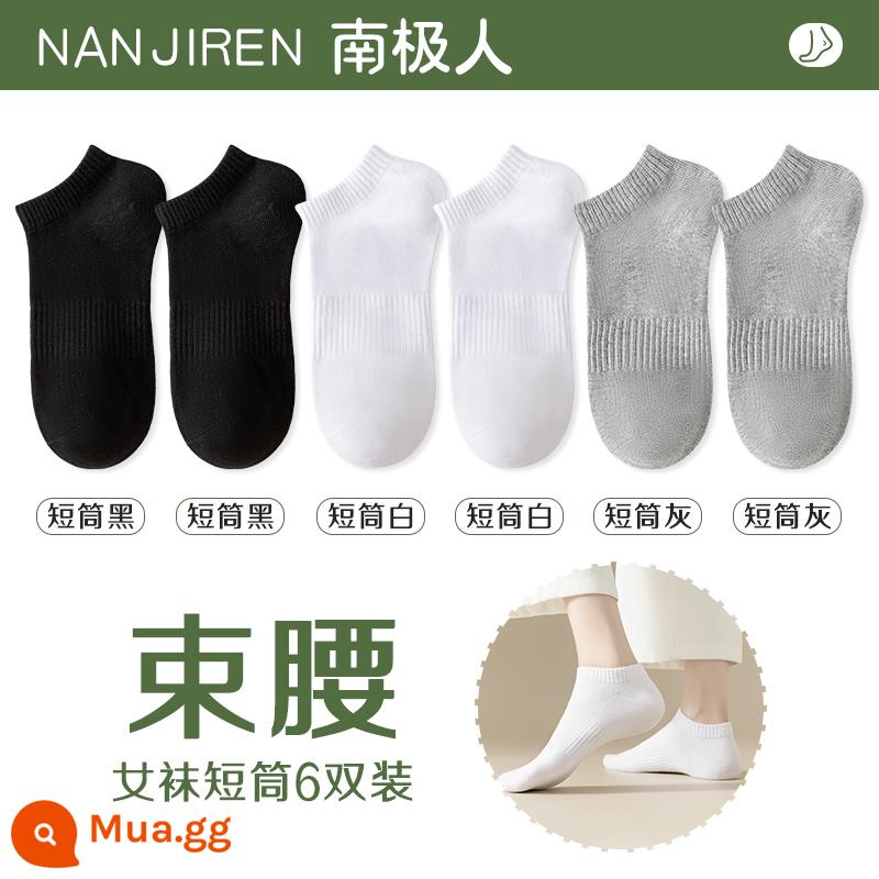 Tất nữ Tất dài đến bắp chân nữ mùa xuân thu đông Tất cotton nguyên chất không xương Tất thể thao mùa hè Tất ngắn nữ màu trắng nam - [Nòng ngắn] 2 đen + 2 trắng + 2 xám