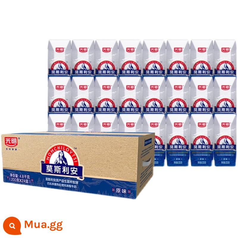 Sữa chua Bright Mosleyan nguyên chất ở nhiệt độ phòng 200g*24 hộp nguyên hộp dinh dưỡng ăn sáng sữa lên men sữa tươi - [Sữa chua nguyên chất Mosleyan] 200g*24 hộp