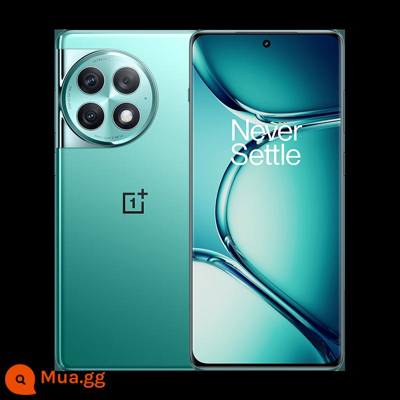 Giao hàng trong ngày [6 vấn đề miễn lãi và bảo hiểm vỡ màn hình một năm] OPPO OnePlus Ace 2 Pro5G Cửa hàng hàng đầu chính thức của OnePlus ace2pro Genshin Impact chính hãng Điện thoại chơi game mới - màu xanh cực quang