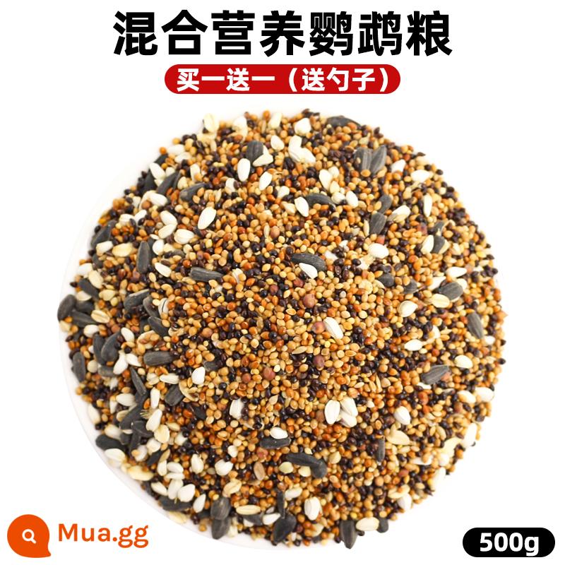 Tiger Leather Parrot Feed Xuanfeng Bird Food với Shell, Huangguzi Xiaomi Peony Birds Five -Color hỗn hợp Bird - 500g