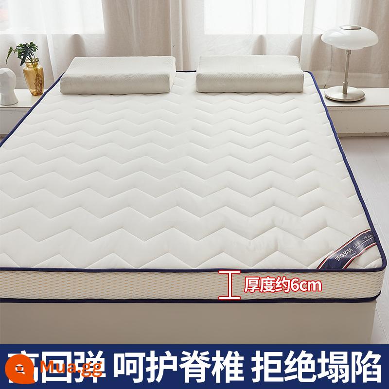 Nệm đệm nhà dày chiếu tatami chiếu ký túc xá sinh viên nệm đơn cứng chiếu mùa đông cho thuê thảm đặc biệt - Chiều cao 6 cm-kiểu M ba chiều-màu trắng nguyên bản [lưới thoáng khí mắt chim-nệm bốn mùa-thấm hút ẩm]