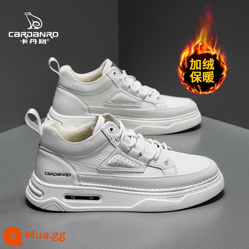 Giày Da Nam Cardan Road 2023 Mới Hợp Thời Trang Mùa Hè Thoáng Khí Phù Hợp Với Giày Sneaker Nam Giày Thường Nhỏ Giày Trắng - Trắng [sang trọng]