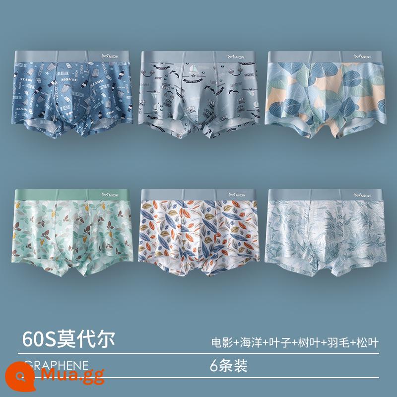 Catman Quần Lót Nam Bé Trai Quần Short Cotton Modal 100% Cotton Tập Thanh Niên Rời Thoáng Khí Quần Boxer - 6 Gói [60S Modal + Kháng khuẩn Graphene] Kết hợp 4