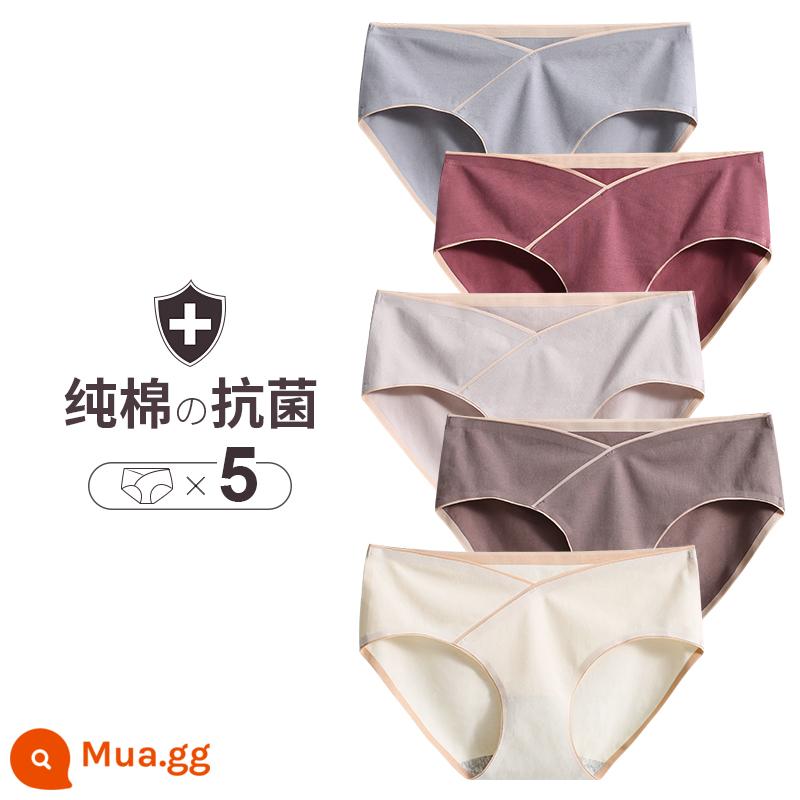 Quần lót nữ mang thai Cat People cotton nguyên chất 100% cotton đáy quần kháng khuẩn mang thai giai đoạn đầu, giữa và cuối thai kỳ quần sịp cỡ lớn - [5 gói] C xám xanh + nâu sẫm + xám nhạt + cà phê nhạt + trắng nhạt