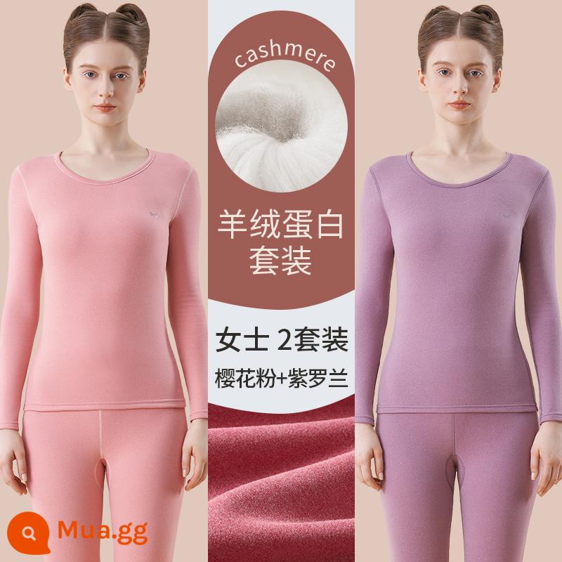 Catman Lụa Cashmere Làm Nóng Quần Áo Nữ Dày Plus Quần Lót Nhung Mặc Quần Áo Mùa Thu Bộ Quần Vệ Sinh Mùa Đông Đáy Áo Sơ Mi - Sakura hồng + tím