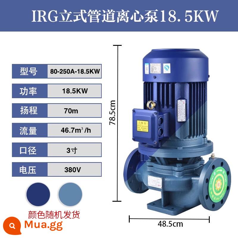 Bơm ly tâm đường ống IRG bơm đường ống công nghiệp 380V sưởi ấm thẳng đứng bơm tuần hoàn nước nóng bơm tăng áp lửa nồi hơi - IRG80-250A-18.5KW (46,7 tấn 70 mét)