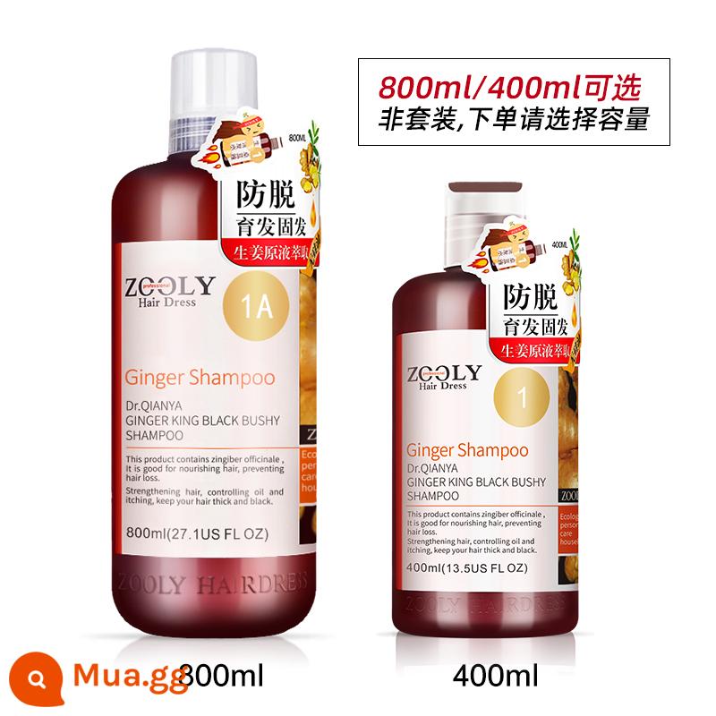 [Dành riêng cho phát trực tiếp] Dầu gội kiểm soát dầu trị gàu không chứa gừng Zhuolanya 400ml, 800ml - [Sản phẩm bán chạy] Dầu gội chống rụng tóc