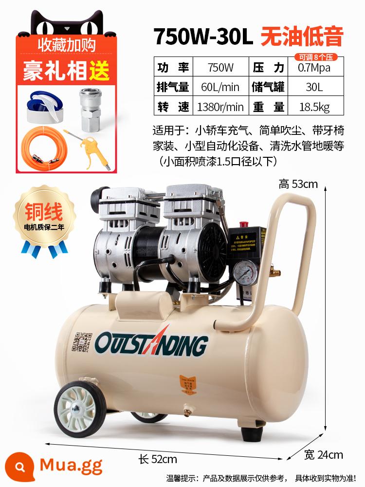 Otus Không Dầu Im Lặng Không Khí 220V Máy Bơm Không Khí Xịt Nhỏ Không Khí Nghề Mộc Trang Trí Máy Bơm Không Khí - Dây đồng 750-30L + van điện từ