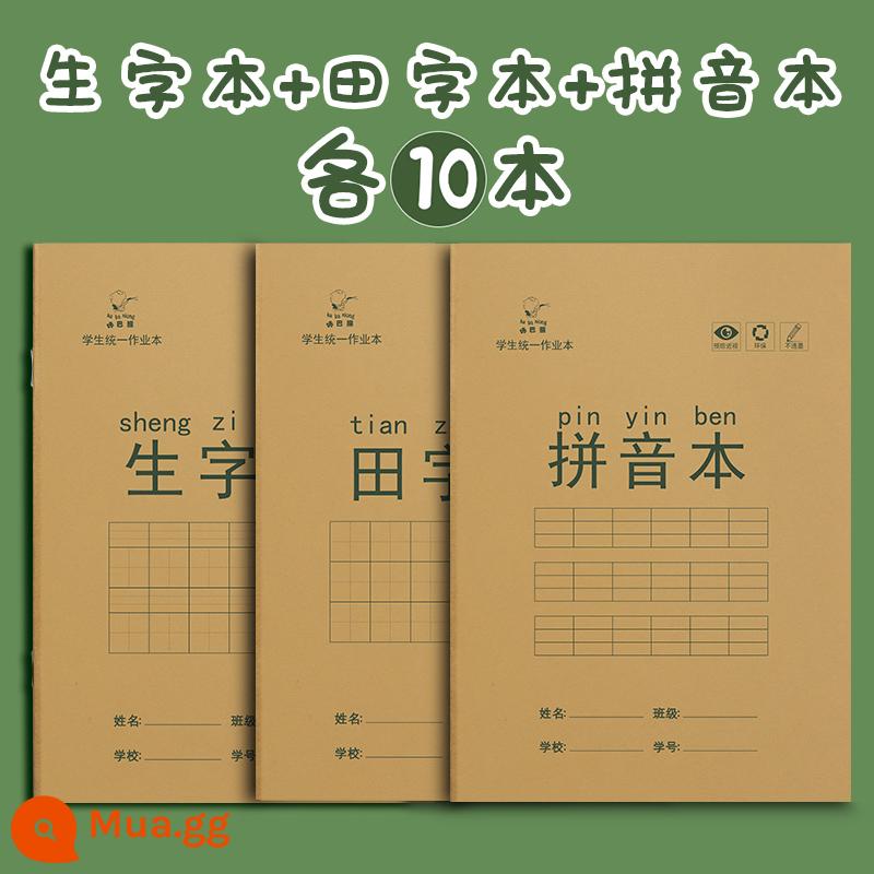 Sách bài tập về nhà cho học sinh tiểu học Sách bính âm matt ngôn ngữ toán tiếng anh lớp 1 và lớp 2 sách từ mới sách bài tập sách thực hành mẫu giáo giấy bảo vệ mắt màu be văn phòng phẩm bán buôn - Sách chữ Thiên + sách bính âm + sách từ mới [mỗi cuốn 10 cuốn]