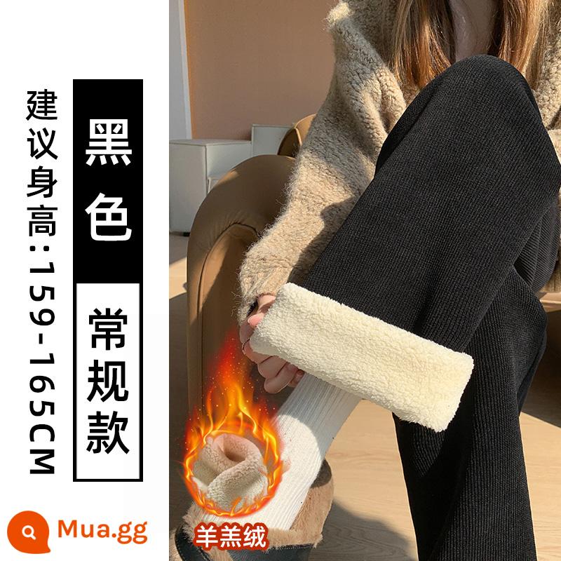 Quần ống rộng da cừu cho nữ thu đông 2023 quần cotton ấm lưng cao mới cộng với quần nhung dày ống thẳng - Sherpa đen [kiểu thông thường]