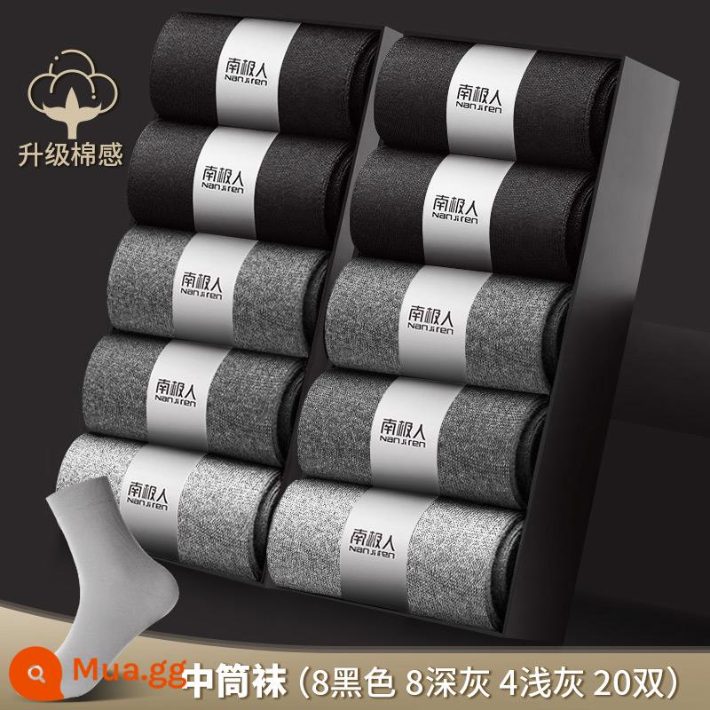 Vớ Nanjiren nam ống giữa cotton nguyên chất khử mùi thấm hút mồ hôi dày ngắn mùa thu đông vớ nam công sở màu đen - 8 đen 8 sâu 2 nông [20 đôi]