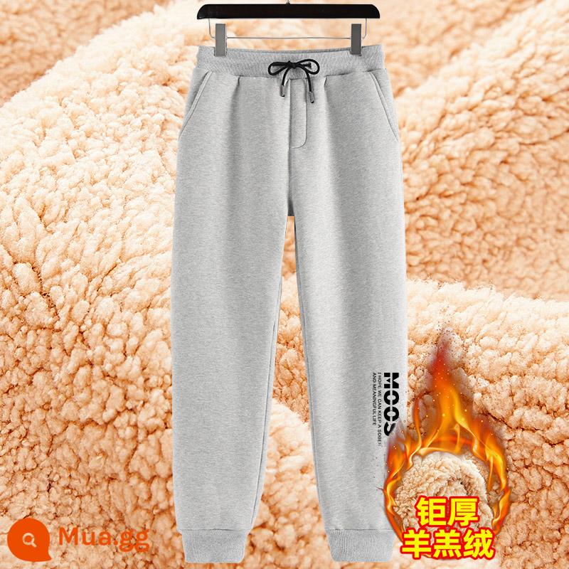 Sherpa quần nhung nam mùa đông cộng nhung dày quần cotton ấm quần nam quần thể thao nam quần thể thao trẻ trung nam người mẫu - 1 đôi xám lông cừu #đen tình cảm