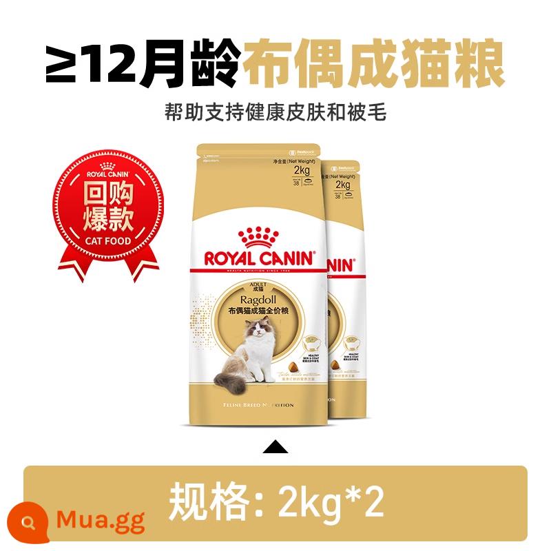 ROYAL CANIN thức ăn cho mèo hoàng gia mèo con rối thức ăn cho mèo trưởng thành RA32/2KG thức ăn chủ yếu cho mèo - Thức ăn cho mèo Ragdoll 2kg*2/RA32 dành cho mèo trưởng thành (>12 tháng tuổi)