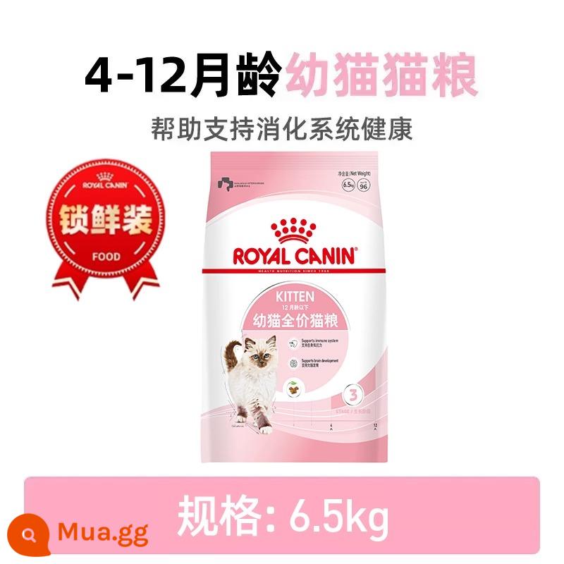 Hạt mèo Hoàng gia Sữa nhỏ Can Kitten Cat Food K36 Cat Milk Bánh BK34 Mang Mang Tách mèo Cai Củ Ca Nuôi mèo Dinh dưỡng - [Ra mắt sản phẩm mới] Thức ăn cho mèo con 4-12 tháng tuổi K36/6,5kg-gói tươi.